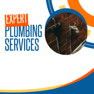 Expert plumbing services,